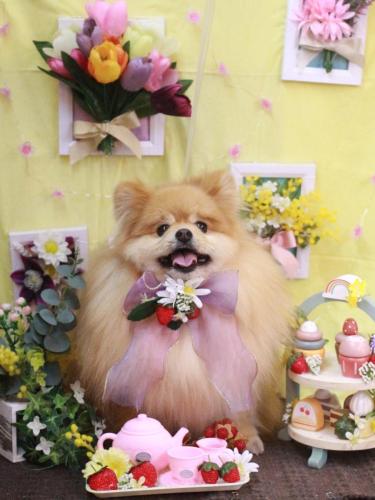 20230310梛都ちゃん